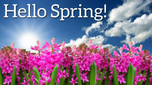 Image result for spring